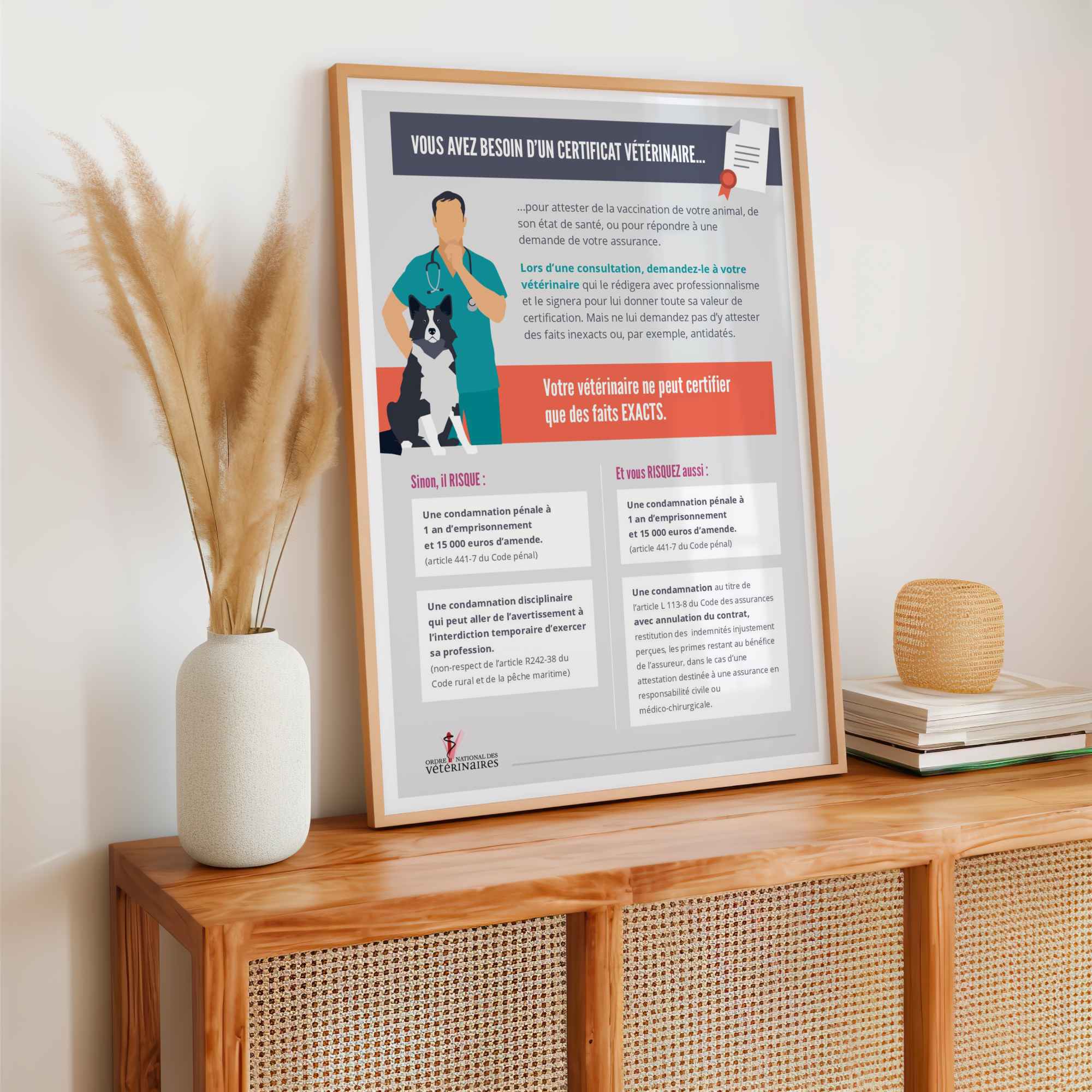 affiche etablissement soin veterinaire