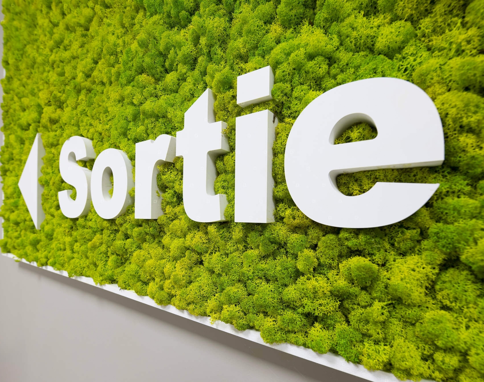 signaletique vegetale clinique veterinaire