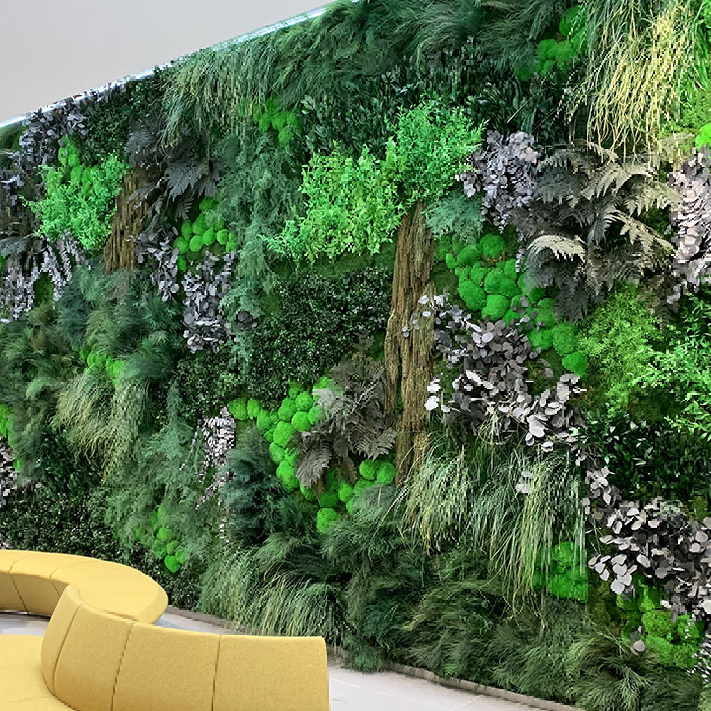 vegetalisation mur clinique mur vegetal plantes