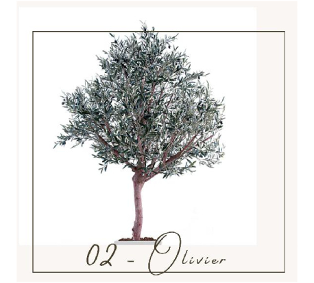 olivier