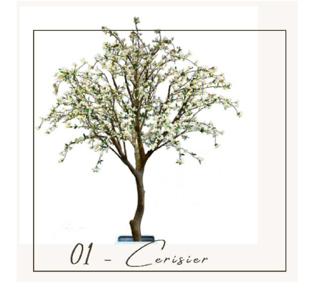 cerisier