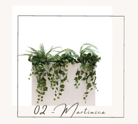 composition bac fleurs plantes galerie commerciale biophilique