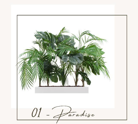 plantes exotiques galerie commerciale biophilique