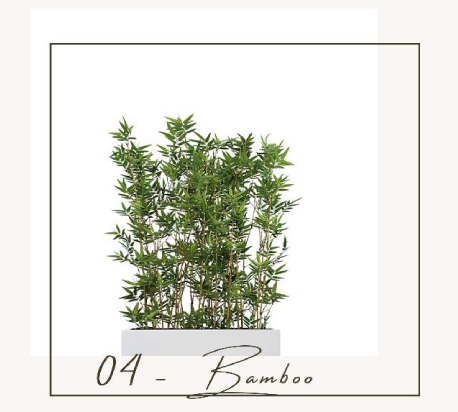 bambou separateur bac galerie commerciale biophilique