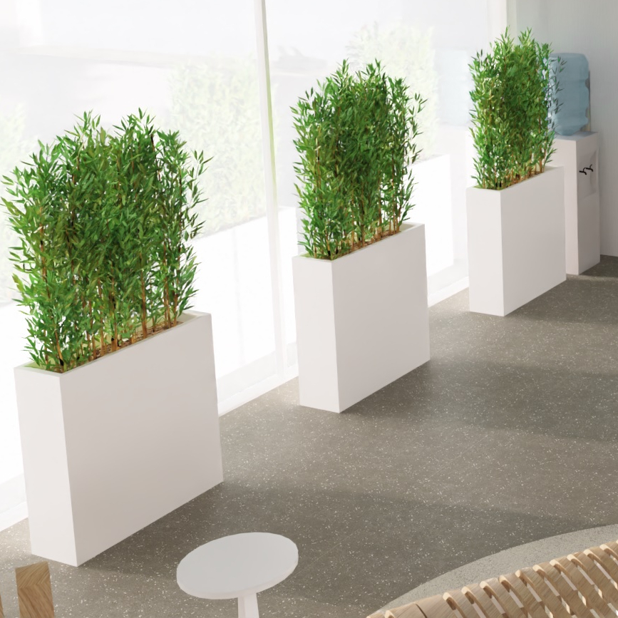 bac plante arbres vegetalisation espace clinique hopital