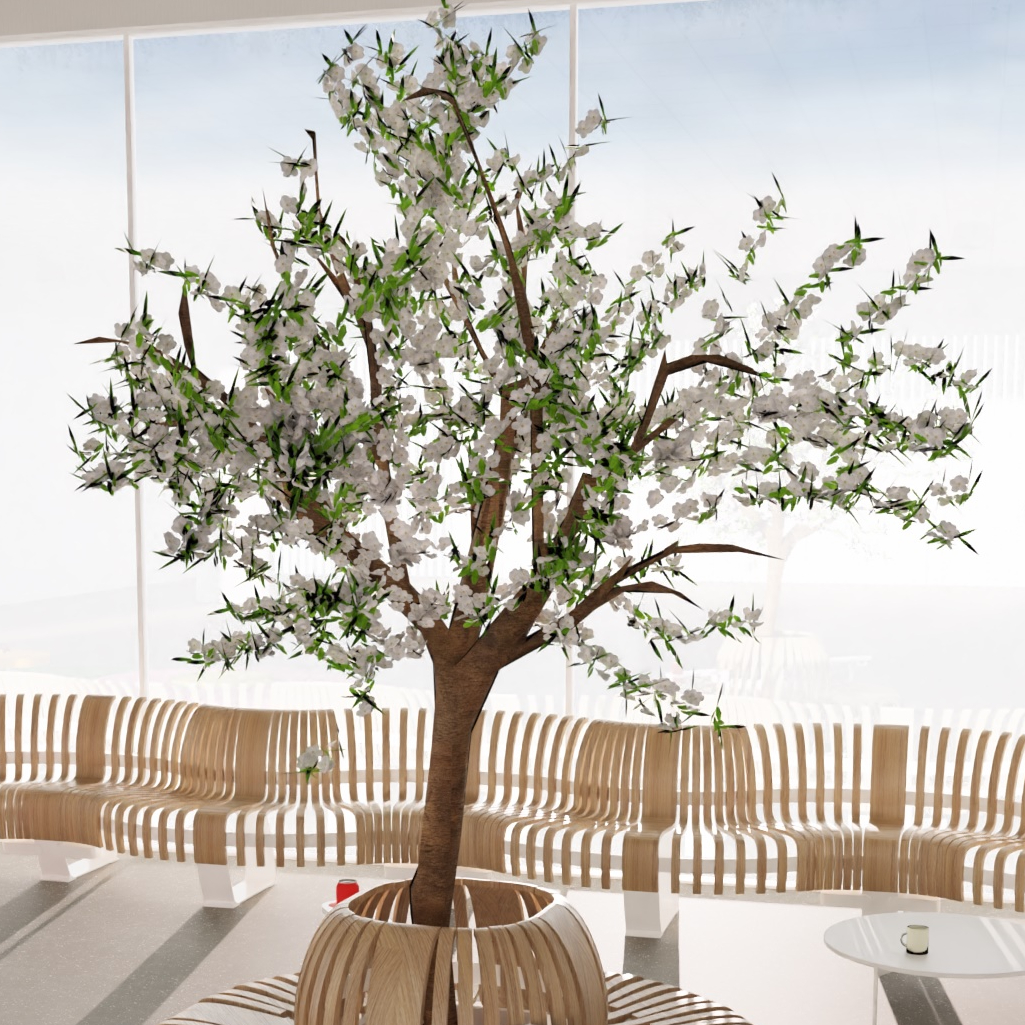 vegetalisation erp arbres