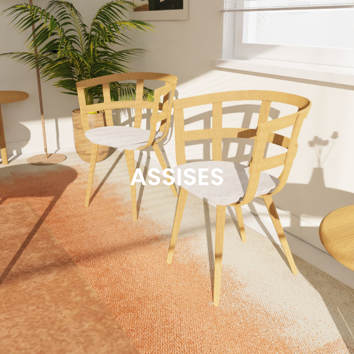 Assises