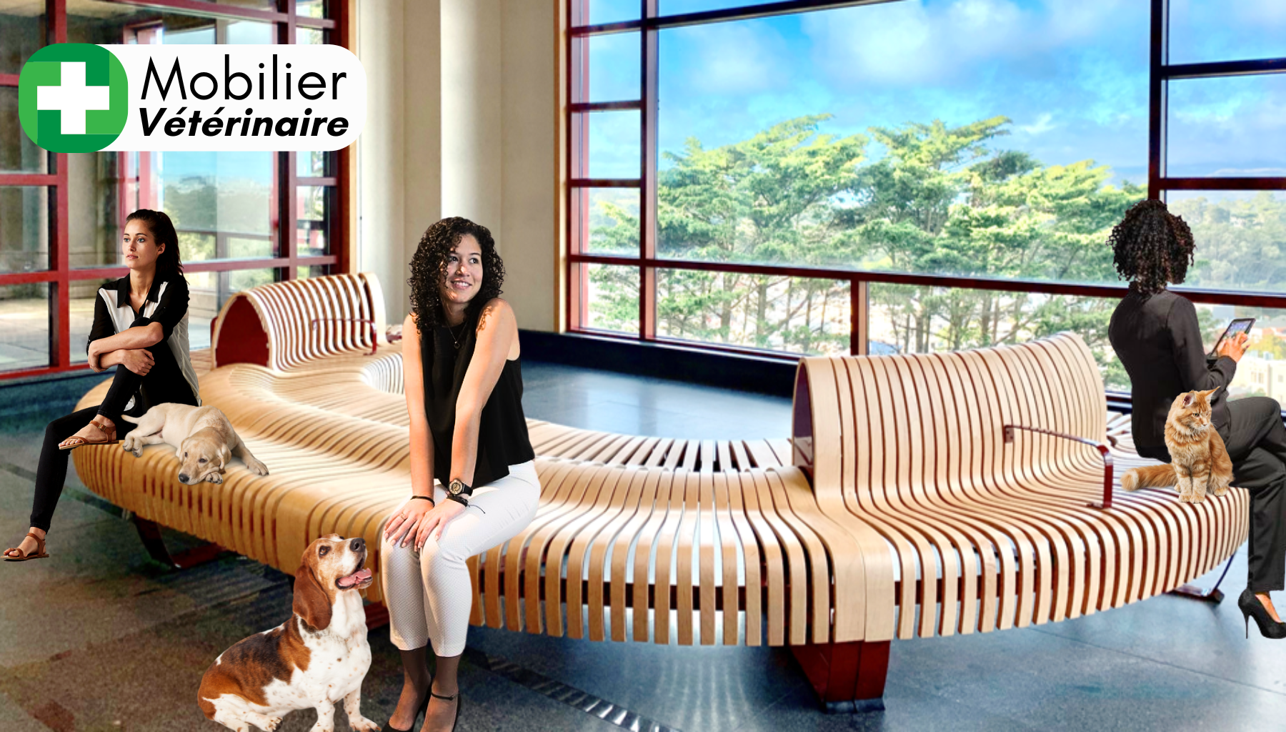 mobilier cabinet vétérinaire