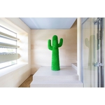 Cactus GÉANT VERT ANOTHER GREEN