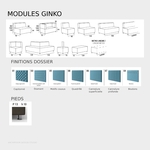 modules-ginko