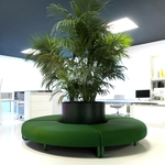 banc circulaire central biophilique plante