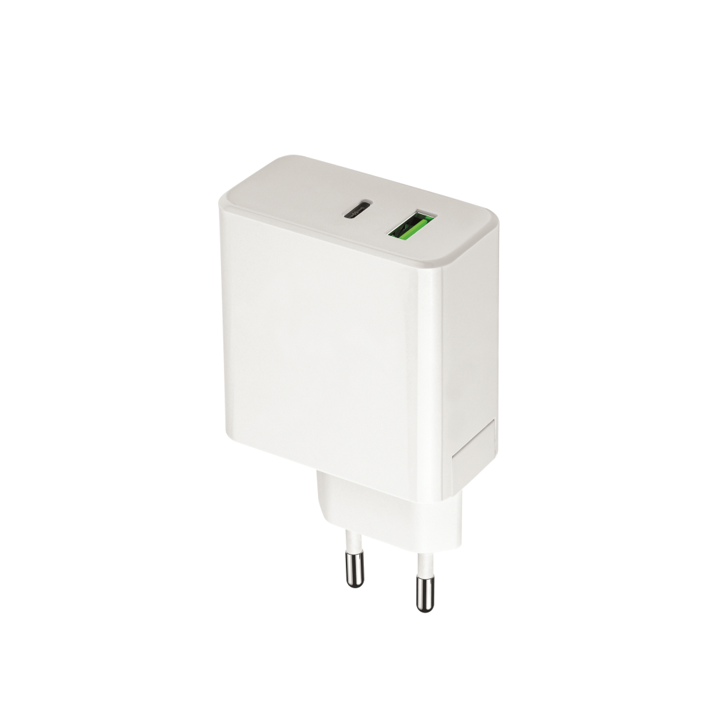 GSM116374-1