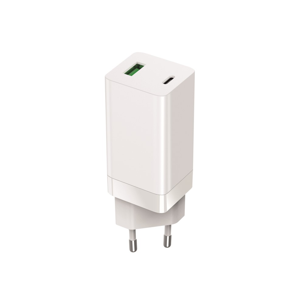 GSM116375-1