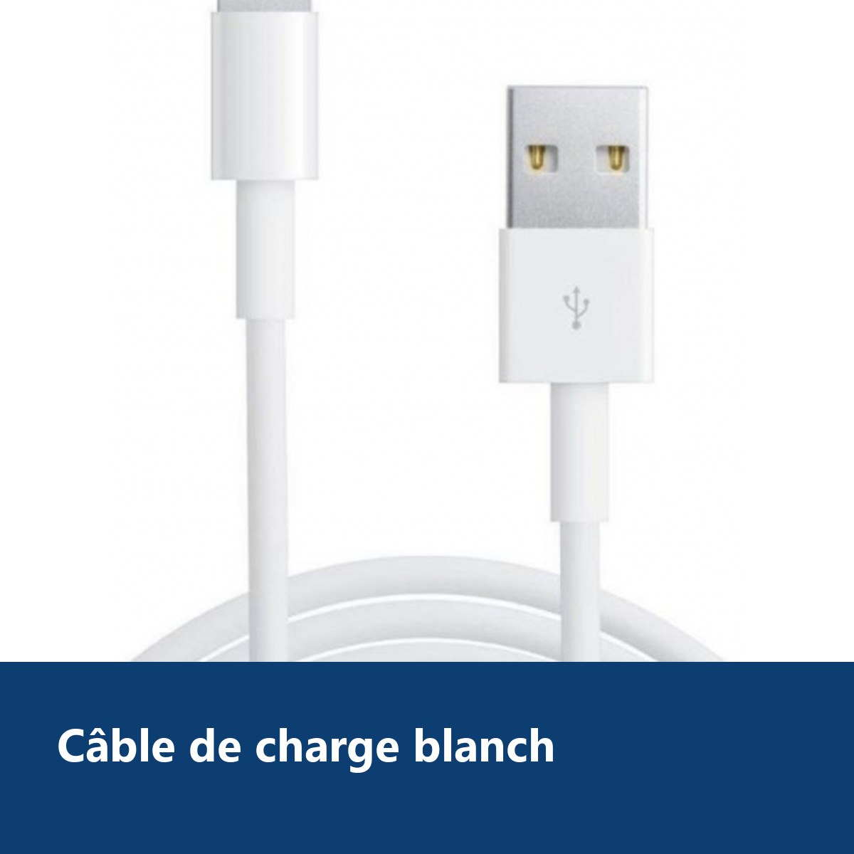 Vue de détail – Cable Lightning Longeur 1M Couleur Blanc Pour iPhone SE 2020 / X / Xr / 11 / 12