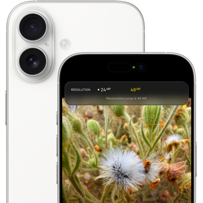 iPhone 17