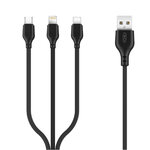 GSM095416-1