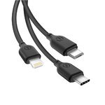 GSM095416-2