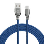 GSM097161-2