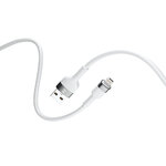 GSM115415-1