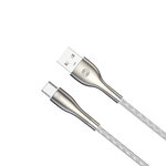 GSM171168-2
