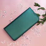 GSM188221-13