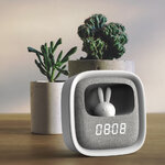 RTV100554-6