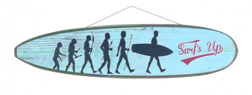 Planche Surf Up Plaques Metal Surf Inexmob