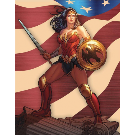 Plaque super heros WONDER WOMAN