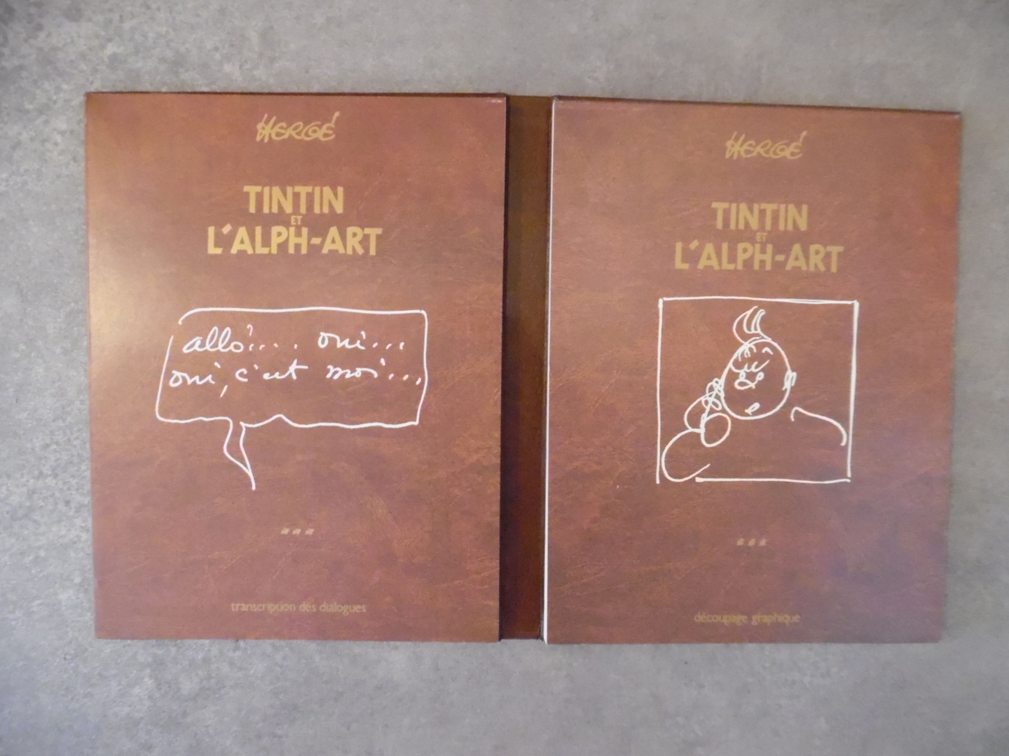 ga101_Hergé - Tintin et l'alpha-art - tirage de luxe