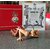20241126_134044