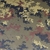 camo italien vegetato kydex etfr site