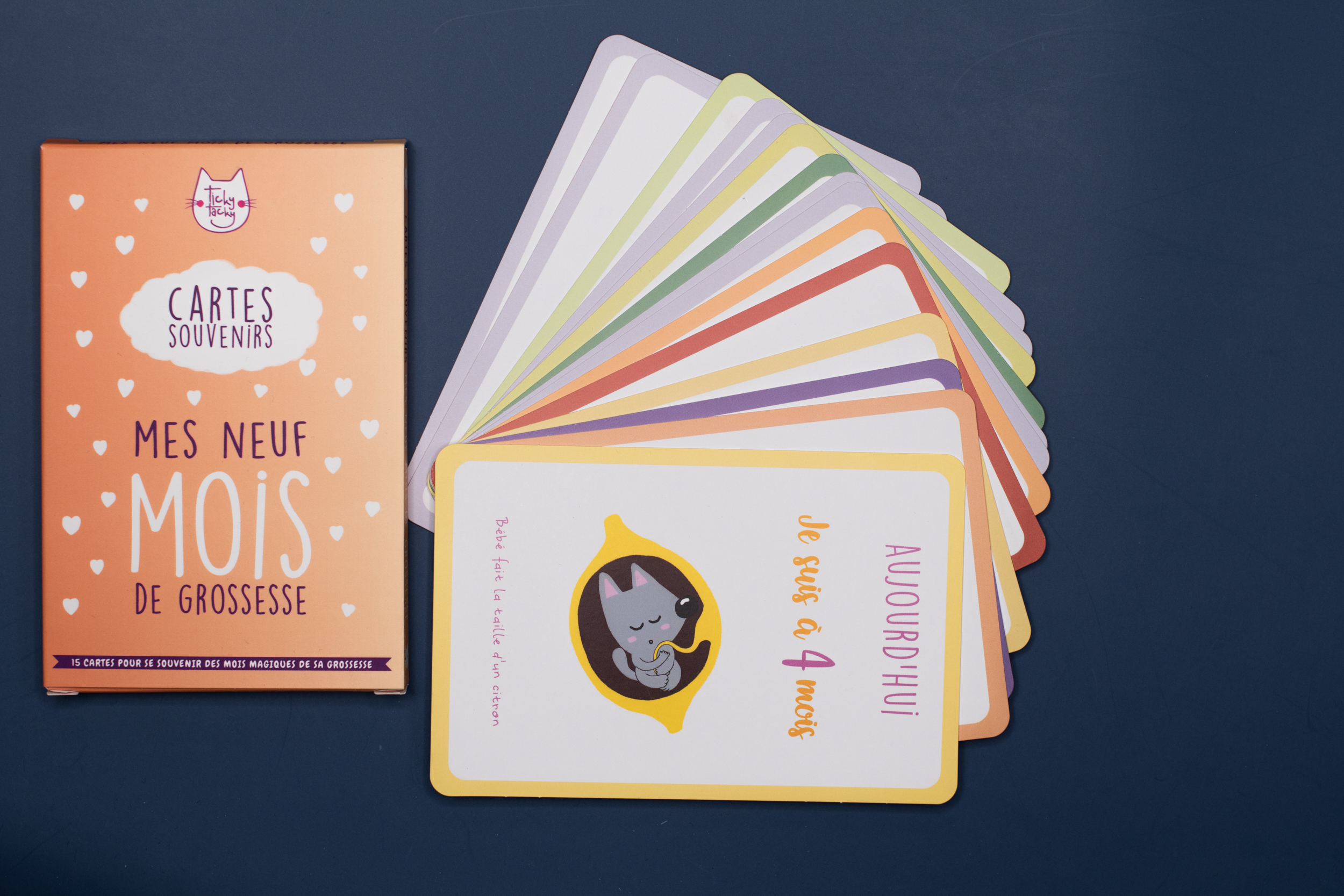 15 Cartes Souvenirs Pour Bebe Mes 9 Mois De Grossesse Maternite Cartes Etapes Bebe Ticky Tacky