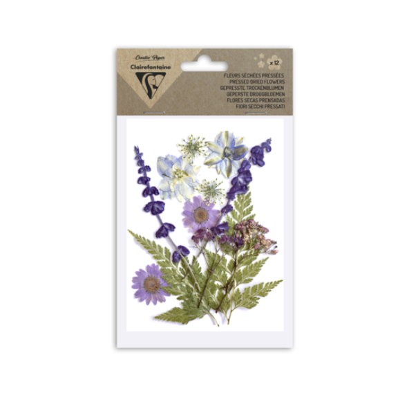 fleur séchée violet sceau de cire