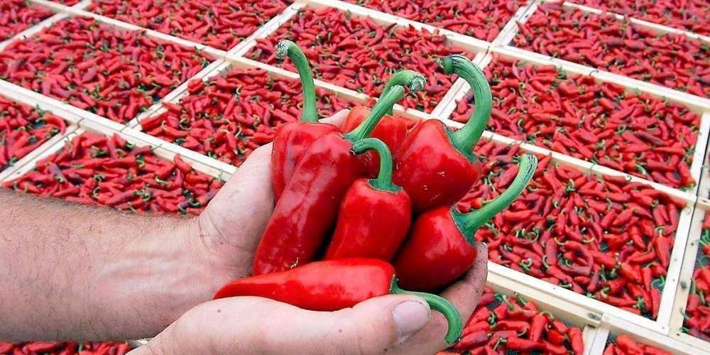 piment