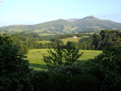 DSC01226