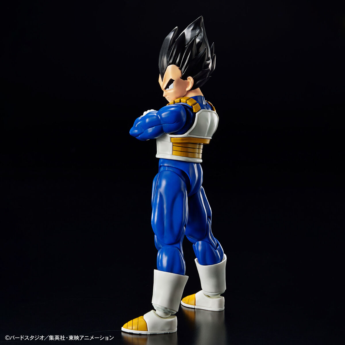frs-vegeta_new_spec_ver-10