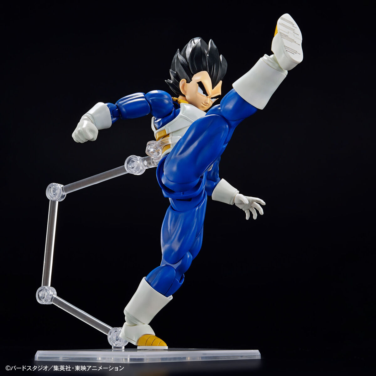 frs-vegeta_new_spec_ver-8