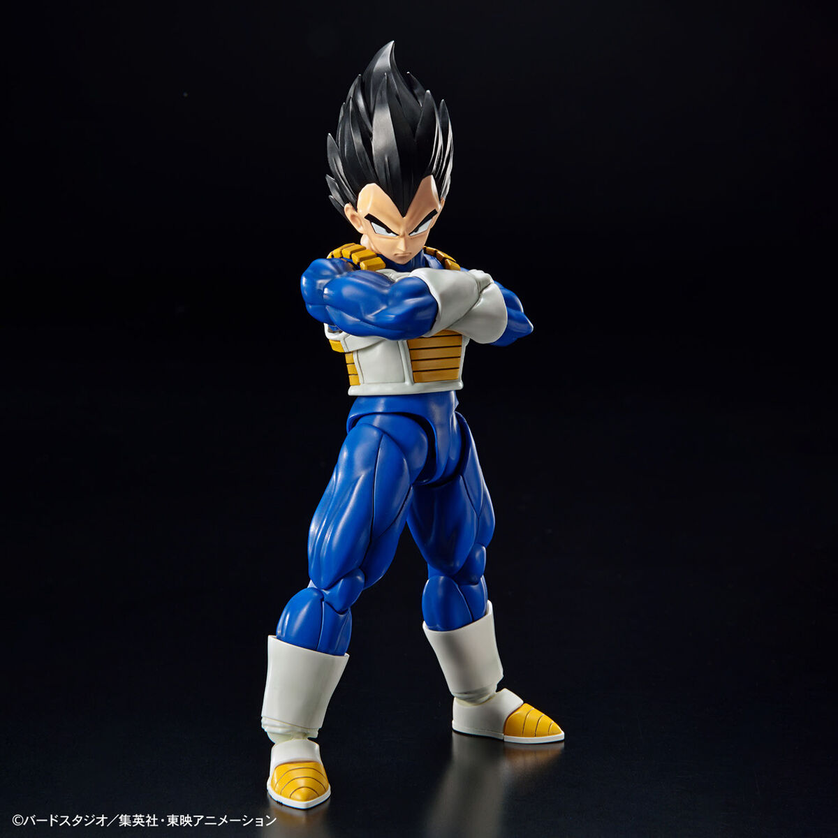 frs-vegeta_new_spec_ver-3