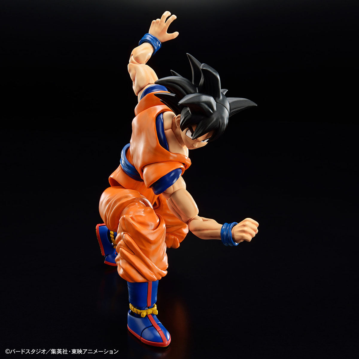 frs-son_goku_new_spec_ver-3