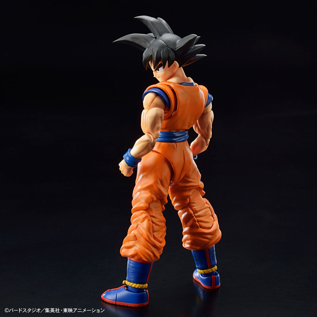 frs-son_goku_new_spec_ver-2