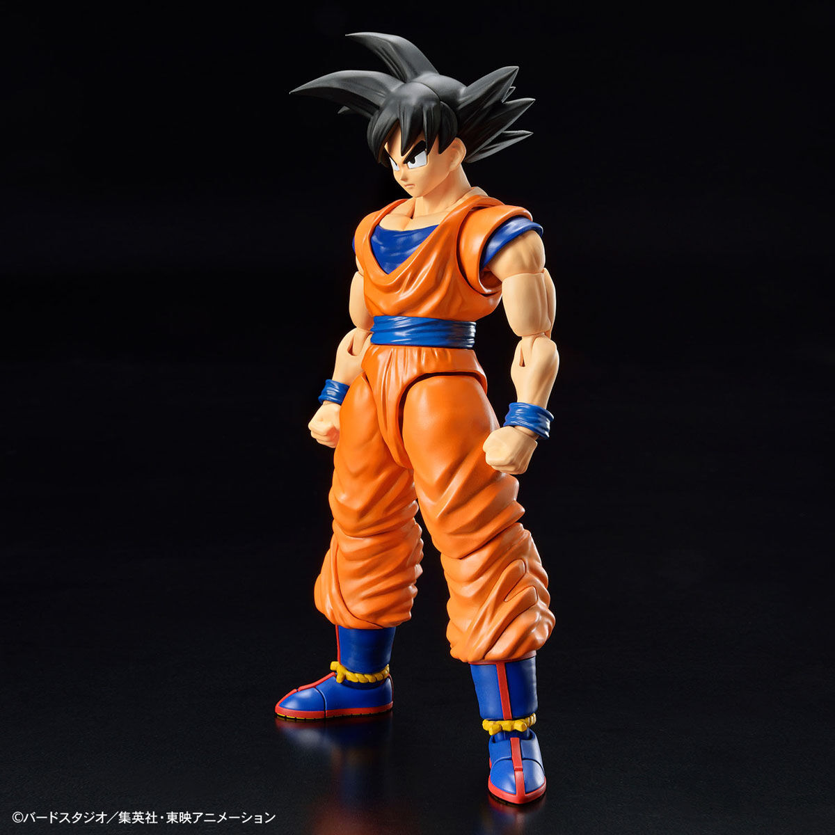 frs-son_goku_new_spec_ver-1