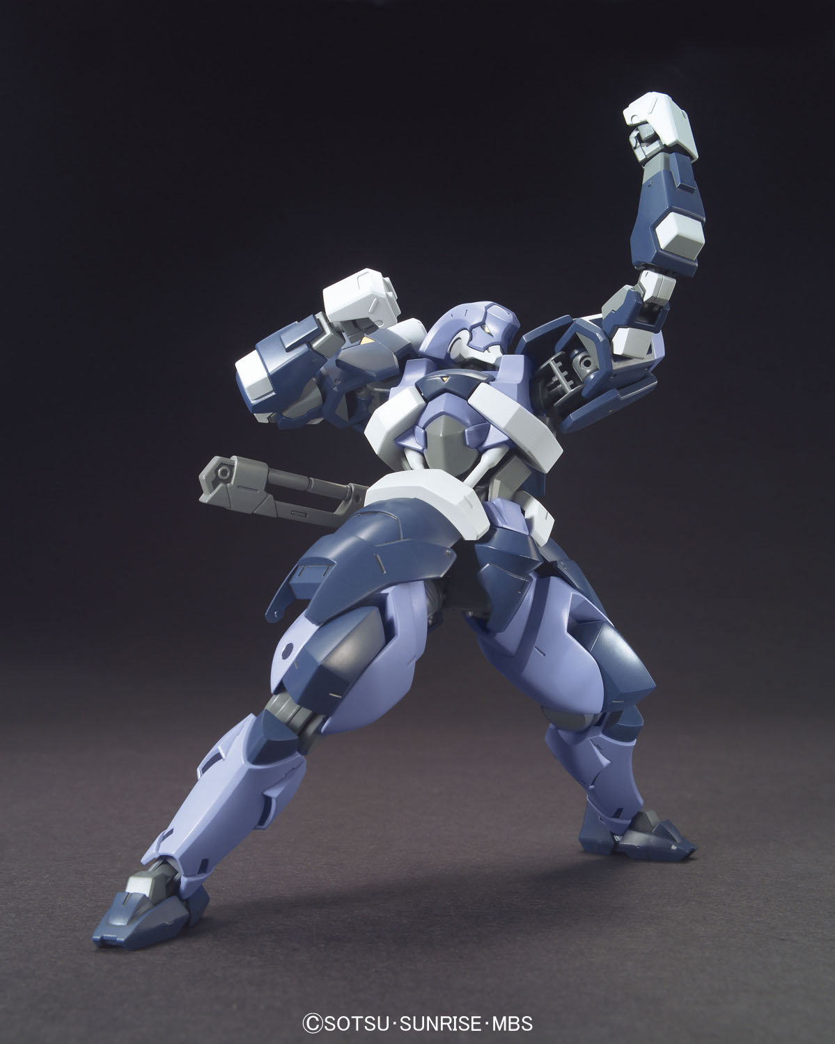 hgibo06-hyakuren-2