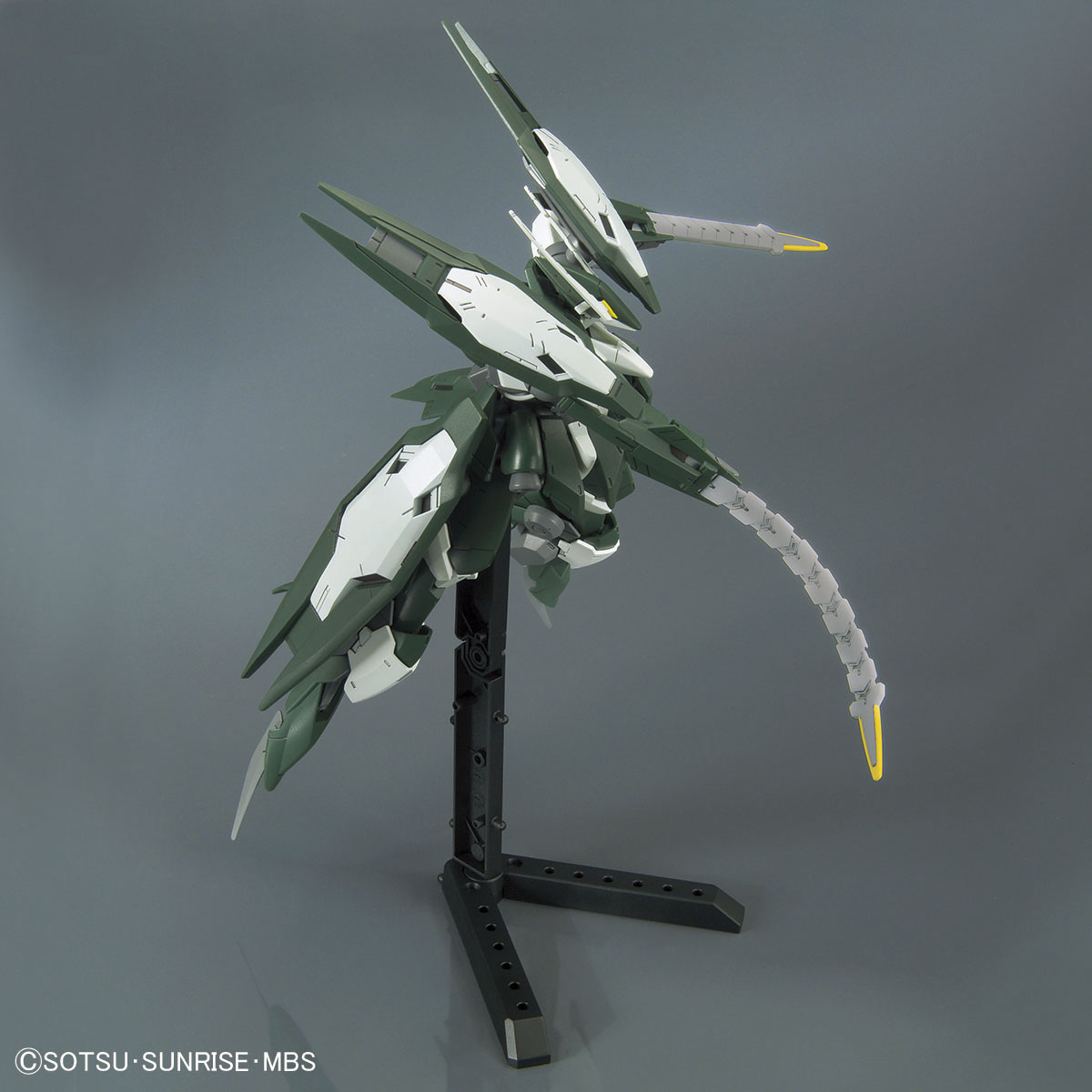 hgibo34-reginlaze_julia-6