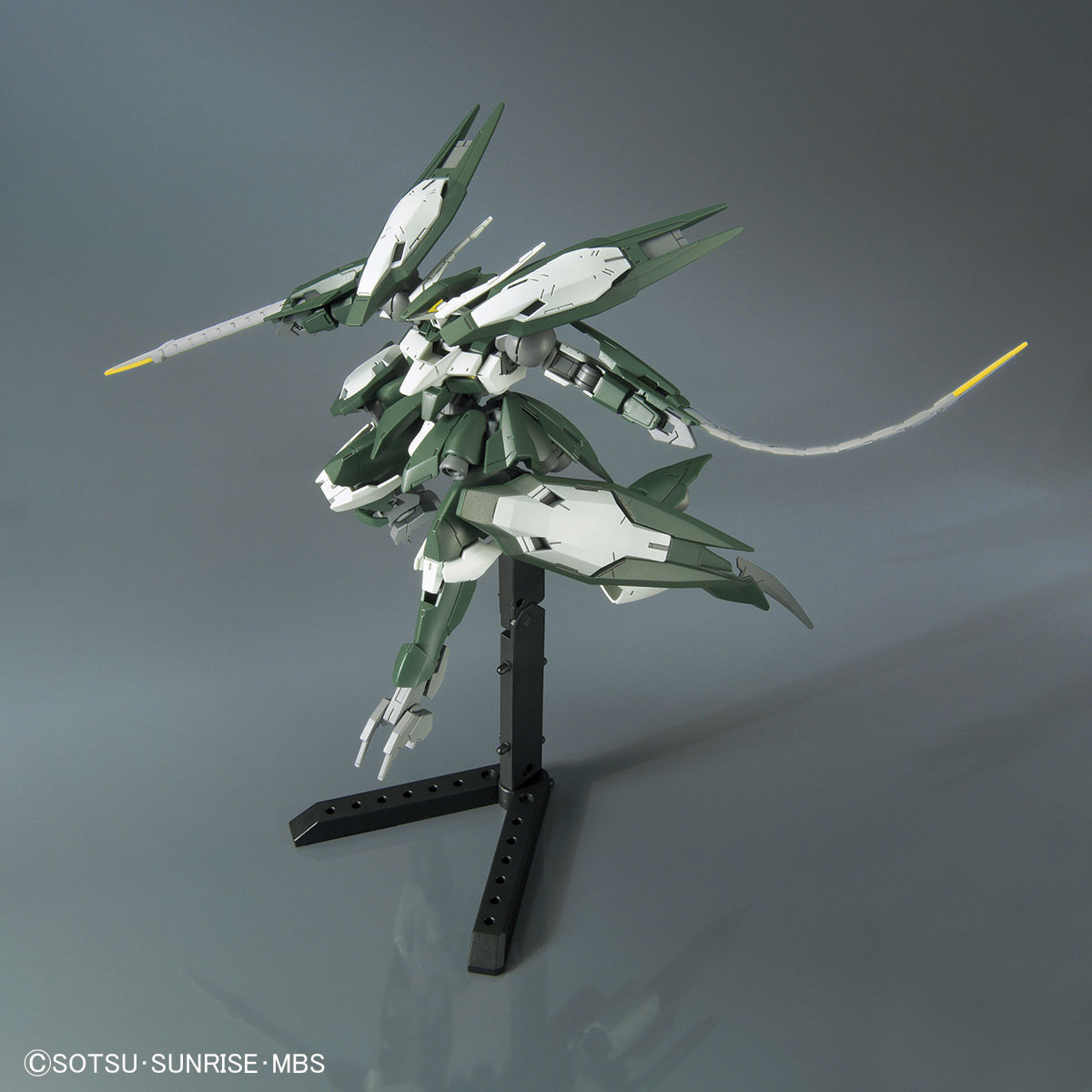 hgibo34-reginlaze_julia-8