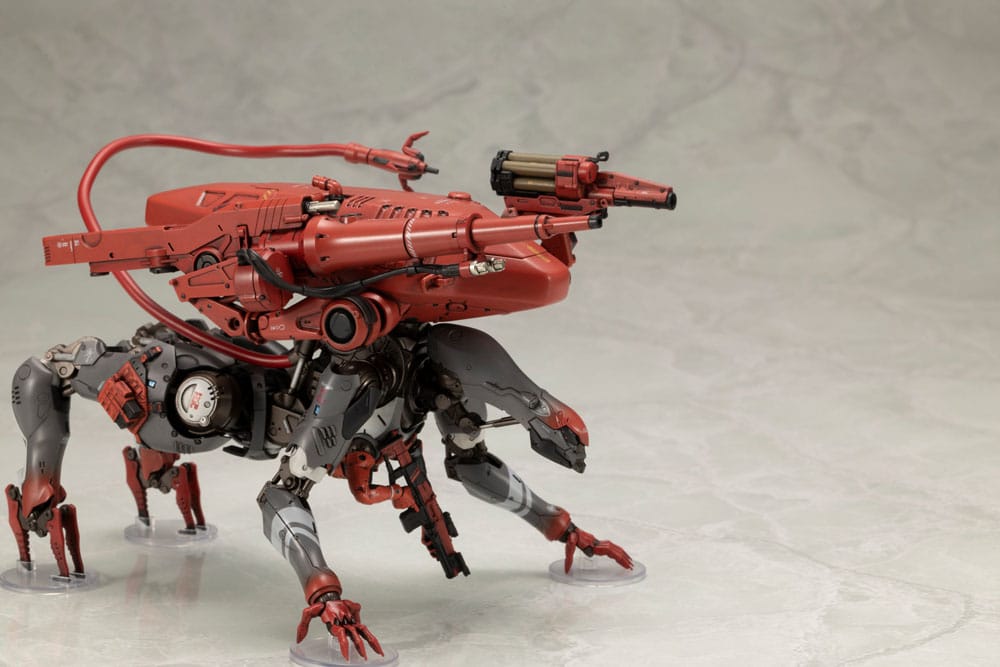 x_ktokp748_m