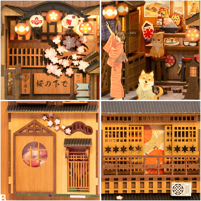MODYS06_4