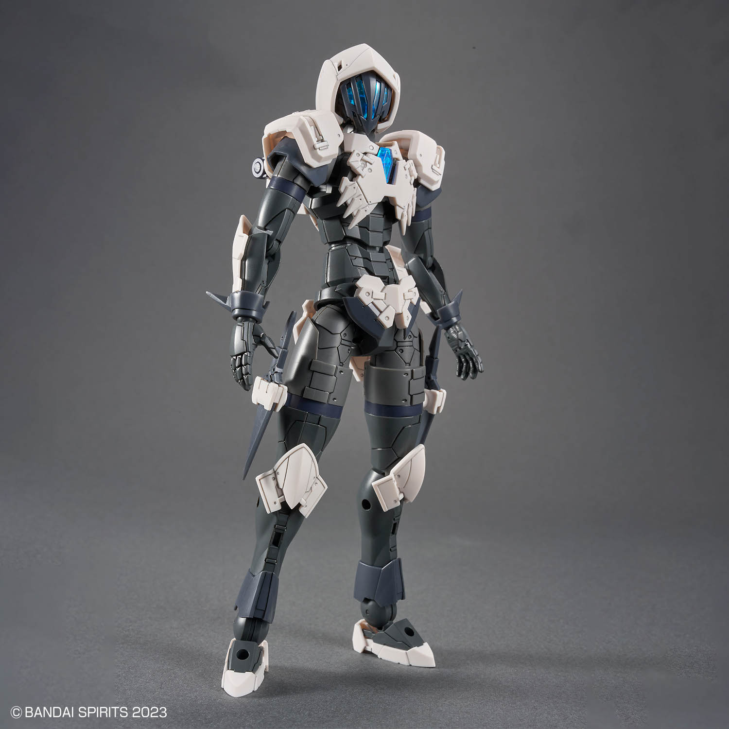 30mf-11-rosan_assassin-1
