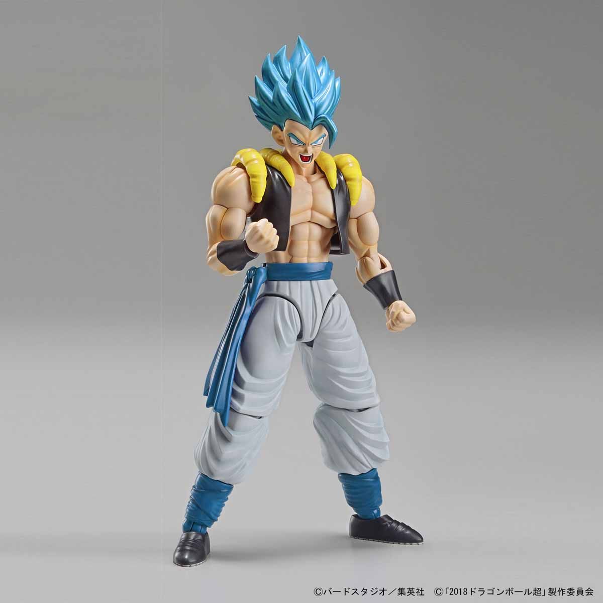 frs-super_saiyan_god_super_saiyan_gogeta-6