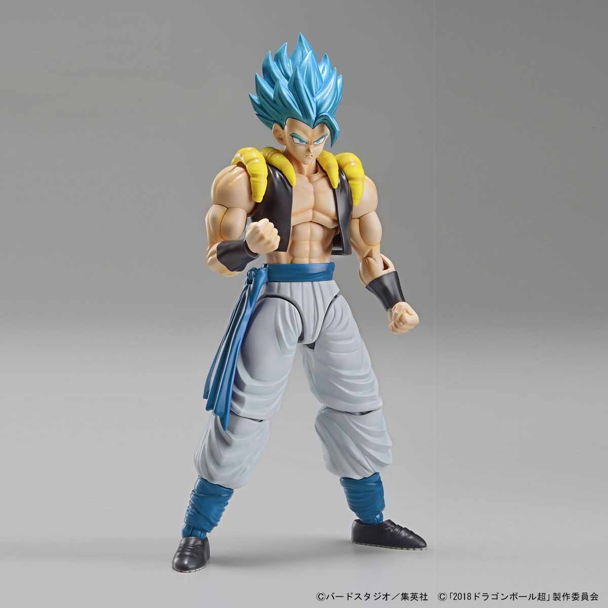 frs-super_saiyan_god_super_saiyan_gogeta-7