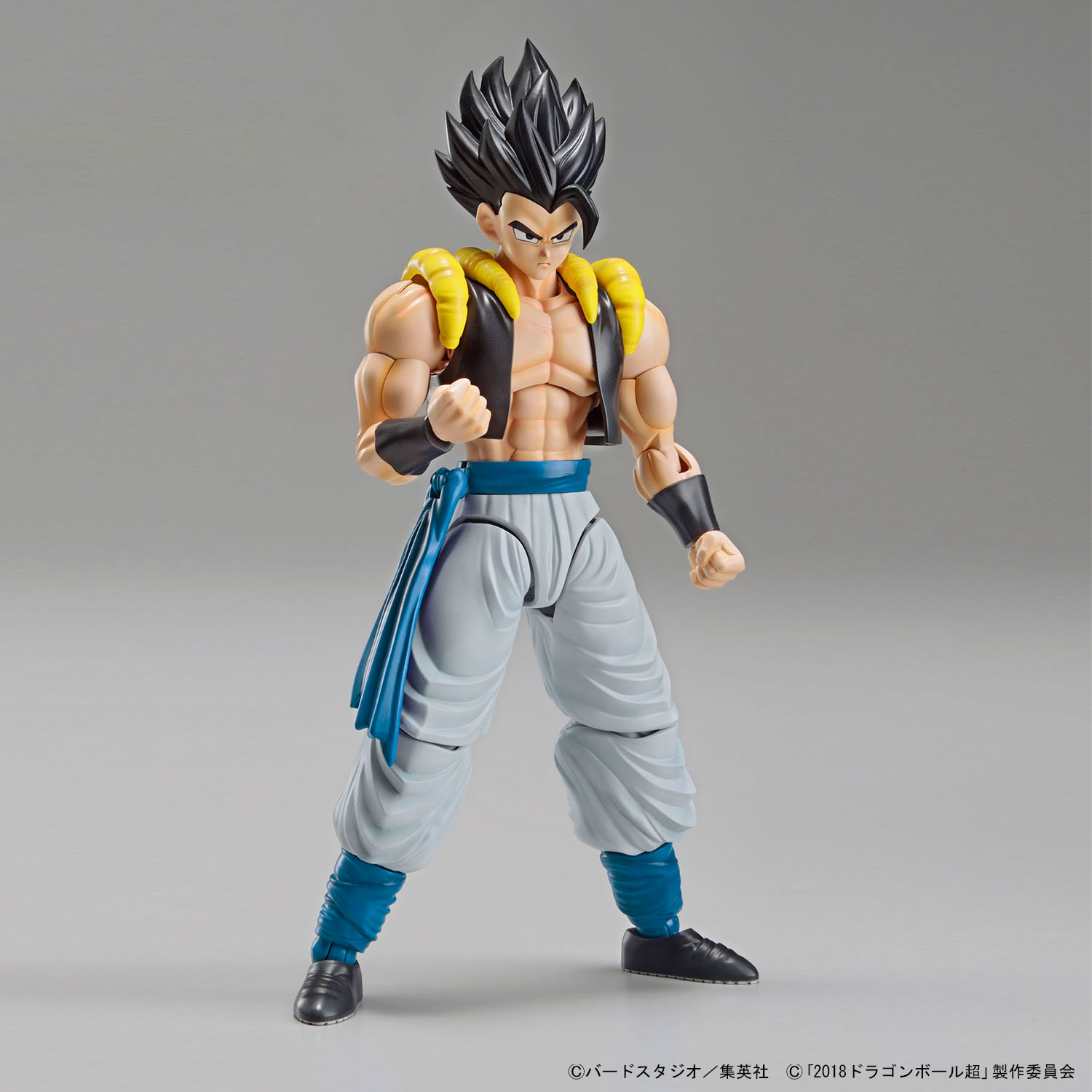 frs-super_saiyan_god_super_saiyan_gogeta-8